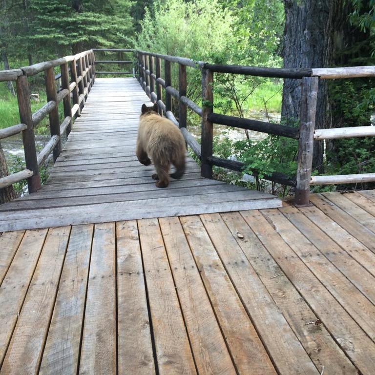Medicine Bow Lodge Tenmile Ngoại thất bức ảnh