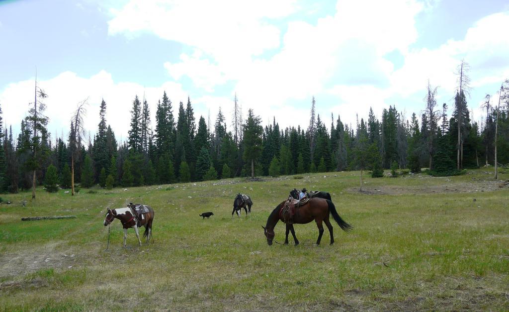 Medicine Bow Lodge Tenmile Ngoại thất bức ảnh